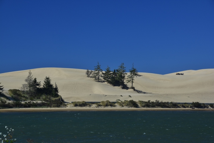 dunes behind a small body of water